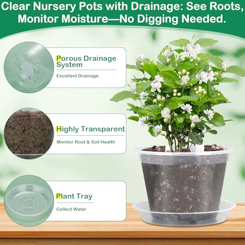 30Pcs Clear Plastic Nursery Pots with Drainage Holes and Saucers, 2.8/3.1/3.5/3.9/5.1/5.9/7.1Inch Seedling Starter Pots with Tool for Indoor Outdoor Gardening Flower, Herb, Succulent Transplanting - size: 2.8/3.1/3.5/3.9/5.1/5.9/7.1 Inch