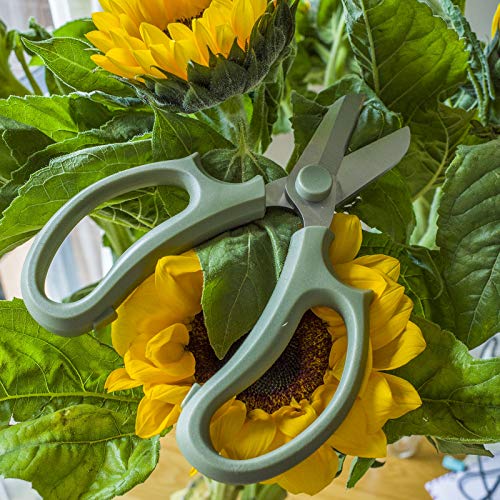 Leize Flower Scissors, Premium Thickened Stainless Steel Floral Shears, Strong Pruner for Flowers, Branches and Leaves (Grey Green) - color: Grey Green