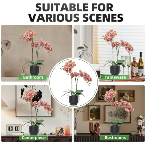 CXGS Orchids Artificial Flowers Real Touch Fake Flowers in Ceramic Pot 20" Purple Dapple Faux Orchid Plant Lifelike Silk Phalaenopsis for Centerpiece Hotel Home Indoor Decor - color: Purple Dapple- Black Vase