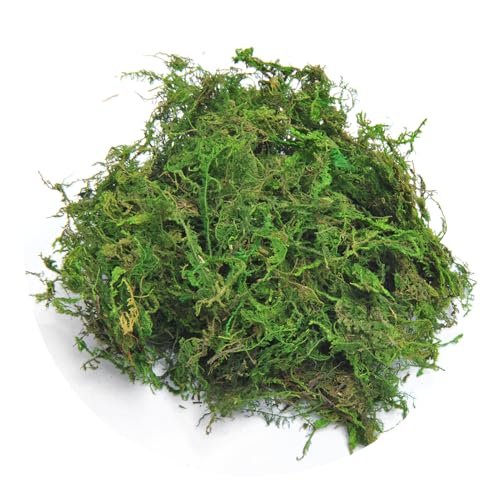 TOPCOMWW Fake Moss, 10.5oz Aftificial Decorative Green Grass for Centerpieces, Plant, Crafts, Flowers - color: Green - 10.5oz