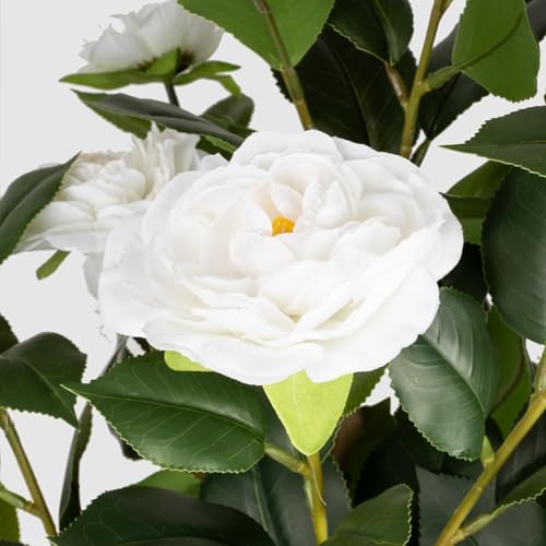MARCH WIND 3FT White Artificial Camellia Plants 2 Pack with Pots, Faux Flowering Tree for Indoor Outdoor Home Decor, Tall Fake Potted Plant for Living Room, Office, Balcony - size: White Camellia - 3FT