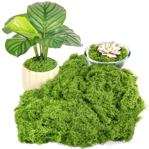 Draupnir Fake Green Moss for Plants Indoor, 5.3OZ Fake Moss for Crafts Preserved for DIY Decorative mossTable Centerpieces Decor Fairy Garden Floral Wedding (150g) - color: Light Green