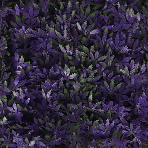 Artificial Marijuana Pot Leaf Hedge - Fake Weed Plant - Smoke Shop Decor - Sound Diffuser Marijuana Wall Art - Topiary Cannabis Greenery Panels (2 Pack (Purple Haze)) - size: 2 pack (Purple Haze)