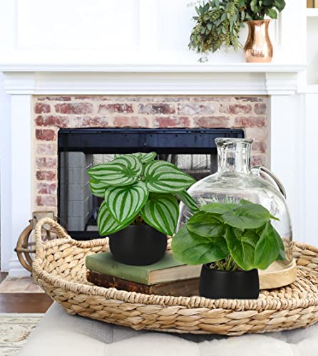 Briful 3PCS Fake Plants Potted Artificial Plants Mini Faux Plants in Black Ceramic Pots Greenery Décor for Home Office Table Room Farmhouse Indoor Decoration - color: Type#1