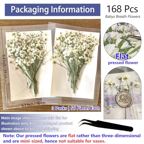 168Pcs Babys Breath Mini Dried Pressed Flowers for Crafts, Real Natural Flat White Dry Flowers Bulk for DIY Wedding Invitation, Resin Art, Card, Bookmark, Scrapbook, Jewelry, Frame, Candle,Soap Making - color: White Baby's Breath 168pcs