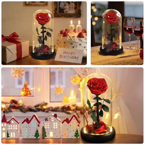 Mothers Day Rose Flower Gifts, Beauty and The Beast Rose Gifts for Women Wife Mom Girlfriend,Preserved Real Rose in Glass Dome,Forever Flowers with Warm Lights,Birthday Gifts for Women - color: Led Rose