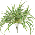 Artificial Spider Plant, Large 23.6 Inch UV Resistant Faux Greenery Bush for Indoor Table, Outdoor Planter Decor (Green, One Size)
