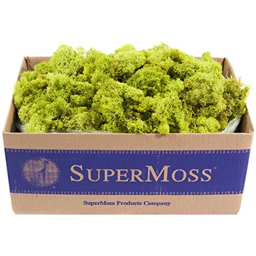 SuperMoss (21773) Reindeer Moss Preserved, Chartreuse, 3lbs - color: Chartreuse, size: Appx. 3 lb Bulk Case