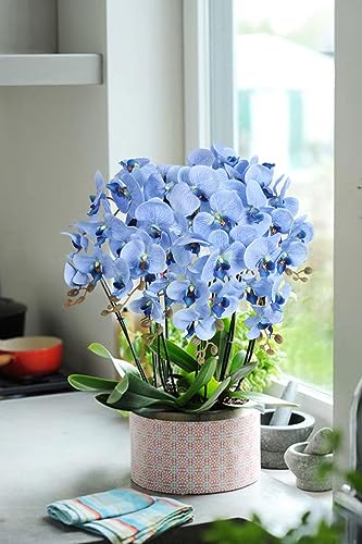 38 Inch 6 PCS Faux Orchid Fake Orchid Velvet Artificial Orchids Blue Orchid Artificial Flowers Long Stem Artificial Flowers for Tall Vase for Home Wedding Decoration(Blue) - color: Blue
