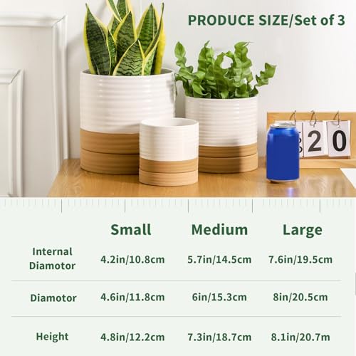 HASENSE Ceramic Plant Pots with Saucers Set of 3, 8+6+4.6 Inch Planters for Indoor Plants with Drainage Holes,Two-Tone Design White Flower Pots for Snake Plants & Cactus,Home & Office Decor - color: White