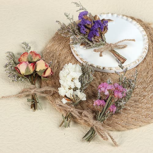 8Pcs Mini Dried Flowers Natural Forget-me-nots Dried Flowers Bouquet Don't Forget Me Flower Bouquets Natural Gypsophila Real Plant Stem Bunch for DIY Wedding Decor(be Some Slight Damage in Reality) - color: Type2