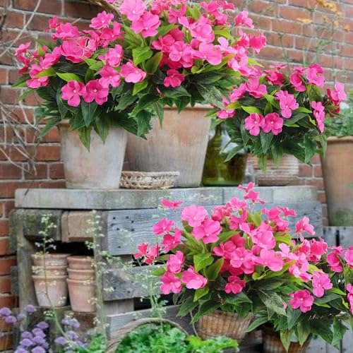 CITYES 4 Pcs Artificial Flowers Outdoor Impatiens UV Resistant Silk Impatiens Flowers Rose Red Faux Flowers Impatiens Bushes Artificial Impatiens for Pot Patio Lawn Garden Hanging Basket Porch Decor - color: Rose Red
