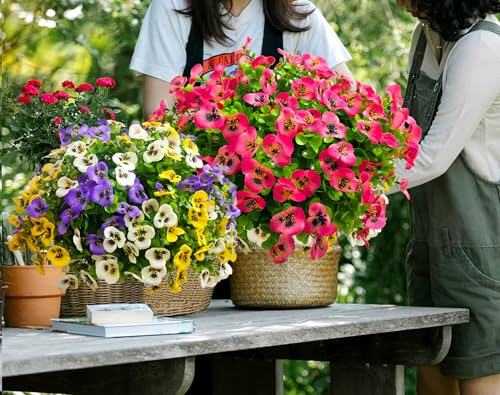 Artificial Flowers for Outdoors Fake Plants, 12pcs Fake Flowers Artificial Plants Outdoor UV Resistant,Silk Faux Flowers Shrubs Greenery Plants for Porch Garden Patio Window Box Decor - color: Fuchsia, size: 12
