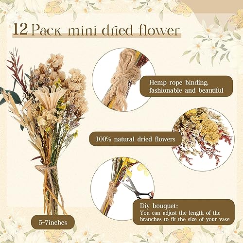 Layhit 12 Pcs Boho Dried Flower Bouquet Mini Wedding Handmade Dry Flowers Decor for Vase Crafts DIY Photo Boutonniere for Men Floral Plant for Bridesmaid Gift Birthday Decor(Bright) - style: Bright
