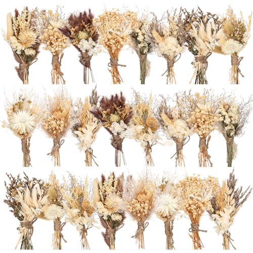 Layhit 24 Pcs Boho Dried Flower Bouquet Mini Wedding Handmade Dry Flowers Decor for Vase Crafts DIY Photo Boutonniere for Men Floral Plant for Bridesmaid Gift Birthday Decor(Stylish) - style: Stylish