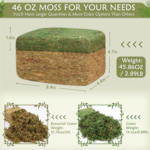 MAPVOLUT Artificial Moss - 45.86 OZ (2.89LB) - Premium Fake Moss Versatile for Crafts & Décor - Natural Look, Low Maintenance, Perfect for Fairy Gardens, Terrariums, Wedding Decor & Faux Potted Plants - color: Fresh Green & Brownish Green