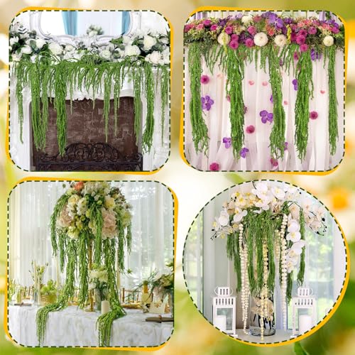 Suncalla Forest Green Spring Natural Dried Amaranthus Hanging Flowers Amaranthus Artificial Flowers for Wedding Arch Bouquet Floral Garland Wall Home Decoration (23 Inch,12 Pcs) - color: Forest Green