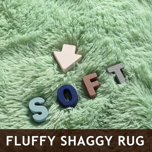 DweIke Fluffy Sage Green Rugs for Bedroom Living Room, 3x5 Feet Soft Plush Shaggy Light Mint Green Girls Boys Kids Rug, Non-Slip and Machine Washable Carpet for Dorm Nursery Classroom Decor - color: Green, size: 3 Ft X 5 Ft