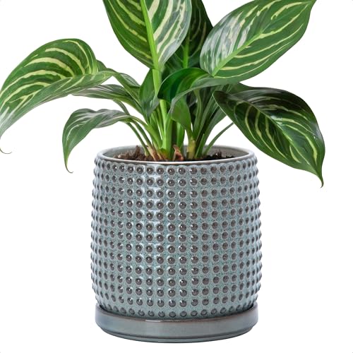 D'vine Dev 6 Inch Ceramic Beaded Stoneware Planter Pot - Flower Pot with Drainage Holes and Saucers for Indoor Succulent Plants or Flowers, Graphite Blue, 27-C-X-9 - color: Graphite Blue, size: 5.8 Inch