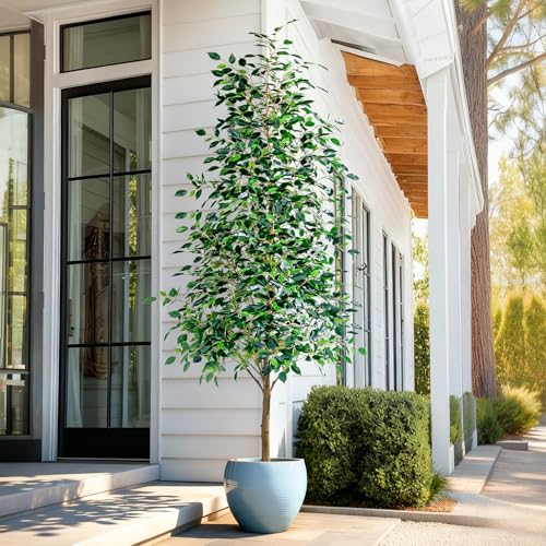 Bailikang 8FT Artificial Ficus Trees Indoor Faux Trees Indoor Fake Floor Plants Tall Artificial Tree with White Pot Faux Tree Fake Indoor Tree Silk Plants Artificial Trees for Home Decor Indoor - color: Green Leaf With White Pot, size: 8ft
