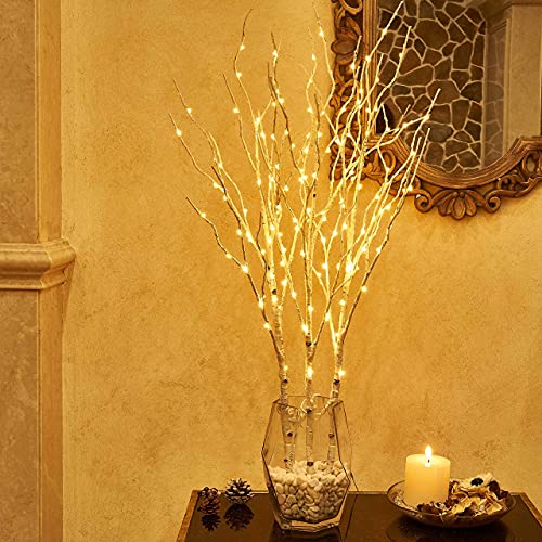 Hairui Lighted Birch Branches Plug in with Timer 30IN 150 LED Fairy Lights, White Willow Branch Lights for Christmas Fireplace Room Vase Decoration Indoor Outdoor Use (Vase Excluded) - style: White Birch+Warm White 1set