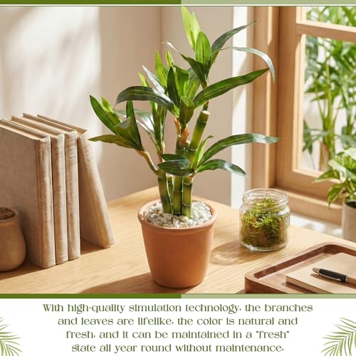 2 Pack Artificial Lucky Bamboo Plant 16 x 4 Inch Potted Fake Plant Decoration Green for Farmhouse Home Office Kitchen Counter Top Indoor Decor