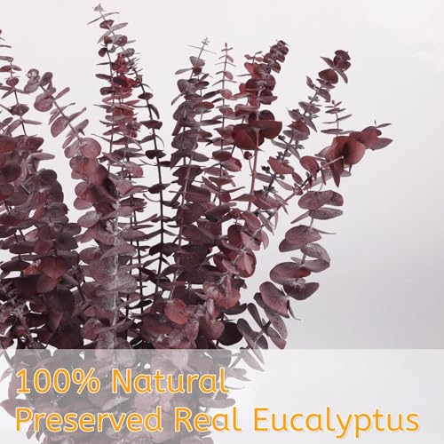 Real Dried Eucalyptus Stems, 20Pcs 17inch Red Preserved Fresh Eucalyptus Stems Plant for Home Vase Wedding Festival Floral Arrangement Fall Flowers Decoration - color: Red, size: 20Pcs Eucalyptus Stems