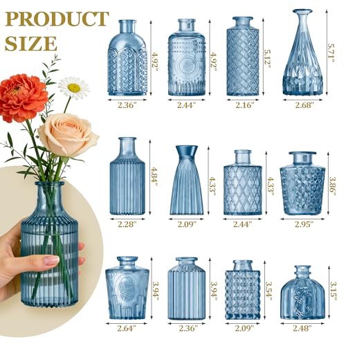 12 Pcs Blue Bud Vases Set, Armber Small Vintage Glass Clear Bud Flower Vases Bulk Multiple Shape Cute Mini Glass Bottles Vases for Rustic Wedding Centerpieces Table Decorations and Home Decor - color: Blue