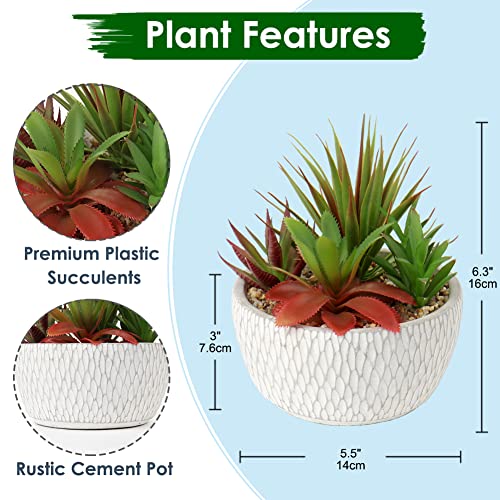 Briful Small Fake Plants Assorted Faux Succulents in Pots Realistic Succulents Plants Artificial with Cement Pots for Home Table Office Desk Bathroom Shelf Living Room Decor - color: Succulent #02