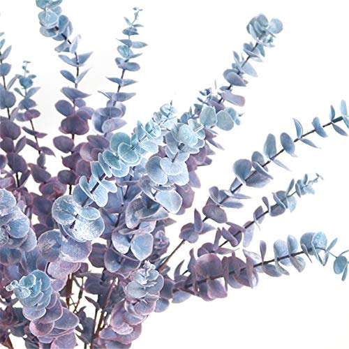 5 Pcs Soft Touch Artificial Eucalyptus Leaves Spray Fake Silver Dollar Greenery Stems for Home Wedding Floral Arrangement, Blue - color: Blue*5