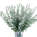 40pcs Eucalyptus Stems Artificial Eucalyptus Leaves Stems,Fake Eucalyptus Plants Real Touch Faux Flower for Home Office Flowers Bouquet Centerpiece Wedding Decoration Spring Farmhouse Home Decoration