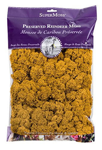 SuperMoss (23153) Reindeer Moss Preserved, Mango, 8oz - color: Mango, size: 200 cubic inch (in3) Bag (Appx. 8oz)