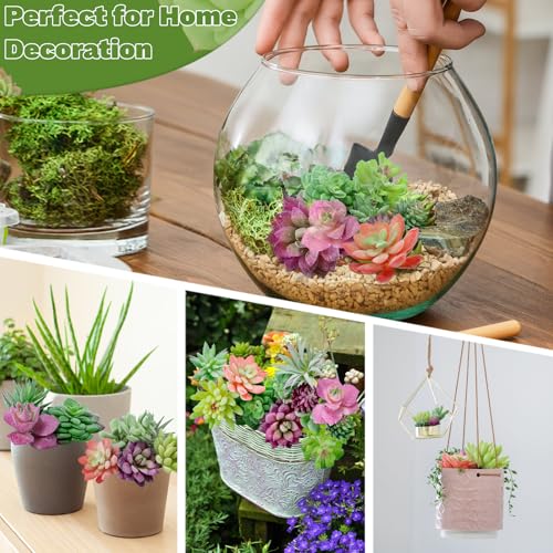 12 Pack Realistic Flocked Artificial Succulents, Faux Plastic Succulents Mini Fake Plants for DIY Craft, Home Decor, Garden & Office Floral Arrangements (Unpotted, PVC, Lifelike Details)