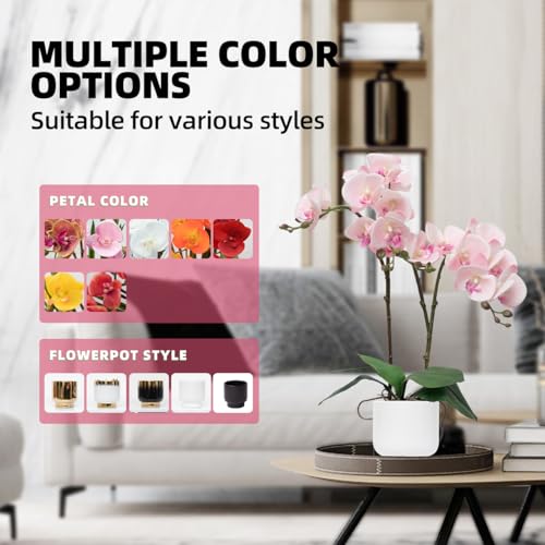 CXGS Orchids Artificial Flowers Real Touch Fake Flowers in Ceramic Pot 20" Pink Faux Orchid Plant Lifelike Silk Phalaenopsis for Centerpiece Hotel Home Indoor Decor - color: Pink- White Vase