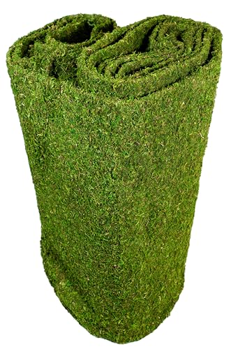 SuperMoss (22396) Instant Green Moss Mat - Preserved Moss Sheet for Table Runners Crafts Garden Decor and Green Wall Displays, 3ft x 50ft - color: Fresh Green, size: 3ft x 50ft