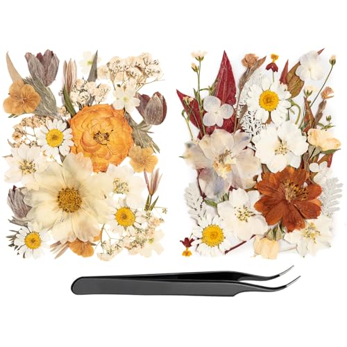 50pcs Boho Pressed Flowers Bulk, Vintage Dried Flower Leaves, Natural Fall Pressed Dried Flowers with Tweezer for DIY Crafts Resin Mold Candles Cake Bridal Scrapbooking Supplies - size: Yellow