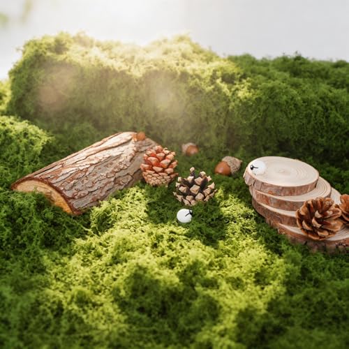 Fake Moss Rug Artificial Moss 39.4" x 39.4" Faux Moss for Crafts Like Fairy Garden Accessories, Plants Indoor, DIY Enchanted Forest Decor, Wedding Table Centerpieces Party Decorations (100x100cm) - size: 100cm*100cm