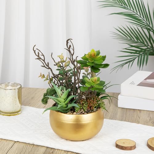 DILATATA Artificial Succulent Plants in Gold Pot Faux Succulent Arrangement Fake Potted Plants with Pebbles for Home Office Desk Shelf Table Decor - color: Gold