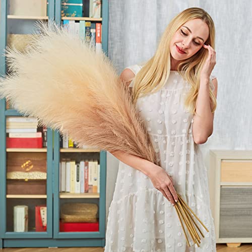 Faux Pampas Grass Decor, 6 Stems Artificial Pampas Grass - 43 inch Tall Pompass Grass Large Pompous Boho Flower Arrangement Home Decor for Room Wedding Party - color: Gradient-taupe