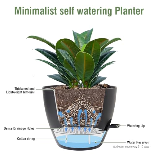 Meowell 12 inch Large Self Watering Pots for Indoor Outdoor Plants, Flower Plant Pots with Mesh Drainage Holes for Garden House, Plastic Planters with Reservoir for Home Decor, Black - color: Black, size: 12inch B