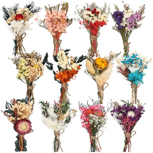 Layhit 12 Pcs Boho Dried Flower Bouquet Mini Wedding Handmade Dry Flowers Decor for Vase Crafts DIY Photo Boutonniere for Men Floral Plant for Bridesmaid Gift Birthday Decor(Colorful) - style: Colorful