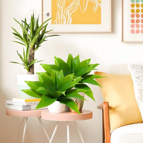 Agusbagli 2pcs Succulents Plants Artificial Aloe Plant, 14in Large Real Touch Succulents Unpotted Faux Agave Greenery Plants for DIY Home Wedding Garden Office Outdoor Decoration - color: Green