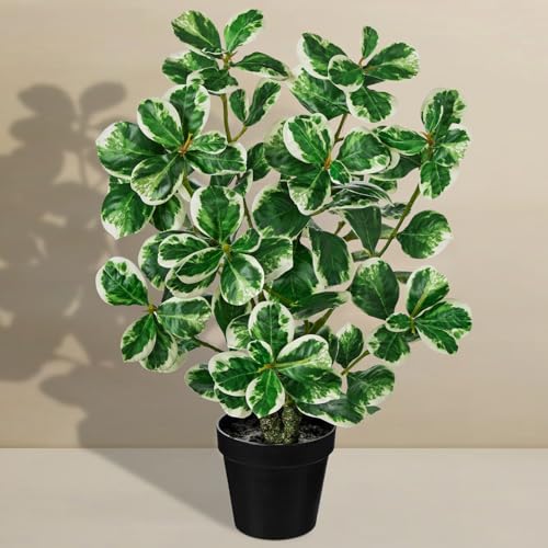 20" Artificial Rubber Tree Plant in Black Pot, Faux Ficus Tree Plant Potted with Cream White Edge Leaves, Fake Greenery Plant for Home Office Tropical Decor - size: 20" & Large