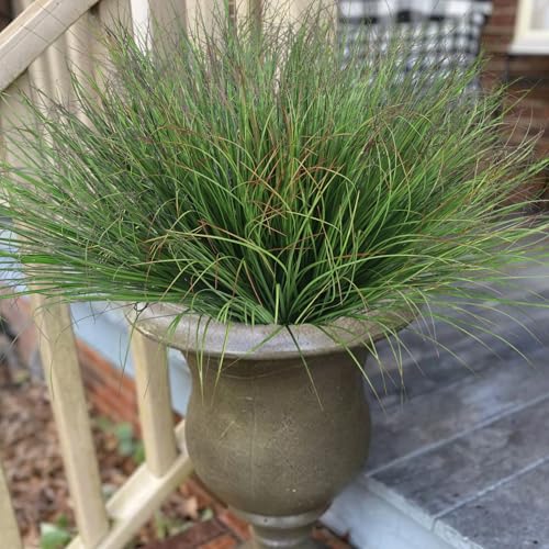 48Pcs Fake Grass Artificial Grass Plant 16in Fake Plants Outdoor Wheat Grass UV Resistant Faux Shrubs Greenery Stems Grass Plant for Outdoors Table Window Box Summer Porch Patio Garden Decor - color: Green-48pcs