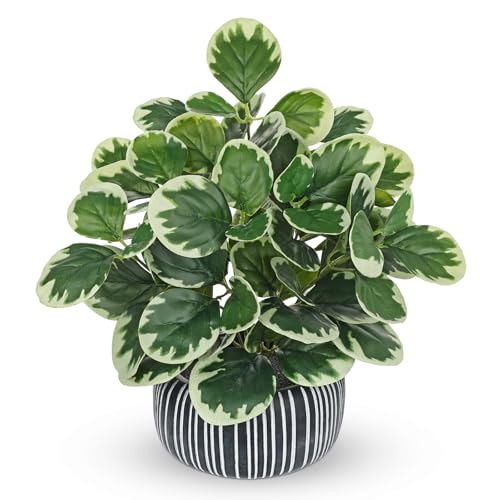 13" Artificial Plants Indoor Small Fake Plant in Ceramic Pot, Silk Plants for Home Decor Indoor, Faux Peperomia Potted Plant for Shelves, Desks, Home, Room, Office, Bedroom, Entryway, Tabletop Decor - color: #Green #1