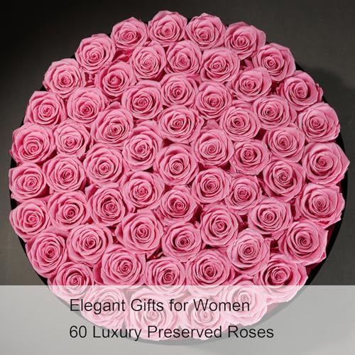 Gifts for Women – NATROSES 60 Preserved Roses in Luxury Black Velvet Box, Preserved Flowers for Delivery Gift for Her, Elegant Rose for Birthday, Mother’s Day, Christmas (Pink) - color: Pink, size: 60 Roses