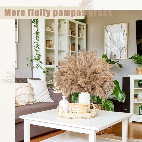 30 Stems 28” inch Fluffy Brown Pampas Grass Decor Tall - Natural Dried Pampas Grass, Large Pompas Grass, Dry Pampas Bulk for Living Room Decor, Boho Home Decor , Wedding Decor , Gift( 30 Brown ) - size: 30pcs brown