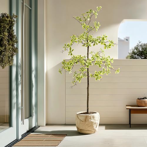 Erimda Faux Black Olive Tree 5ft, Faux Plants Indoor Large Tall Tree Artificial Shady Lady Tree with Natural Wood Trunk & Realistic Leaves, Fake Olive Plant for Home Office Indoor Decor - color: White, size: 5ft