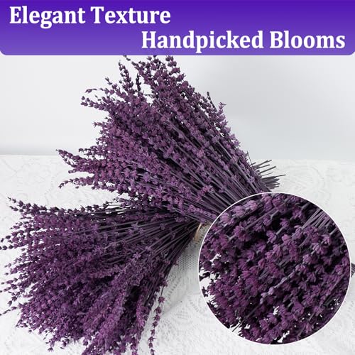 350 Stems 2 Bundles Dried Purple Lavender Flowers, 4.23oz(120g) Preserved Flowers Bouquet, 16'' Purple Lavender Stems for Wedding Home Fragrance Vase Crafts Decor - color: Purple