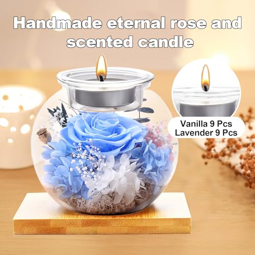 Flowers for Delivery, Preserved Flower in Glass Dome with Scented Candle, Long Lasting Rose Gifts for Women Wife Girlfriend on Christmas Mothers Day Valentines Day Birthday (Blue) - color: Blue